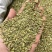 批发小茴香国产特绿小茴香量大价优长期供应
