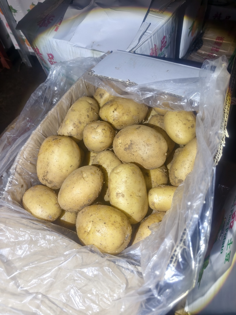 冷库沃土