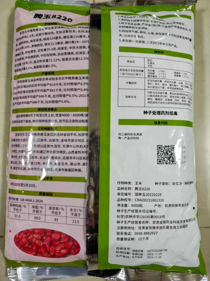 玉米种子