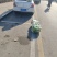 肥城王庄大白菜