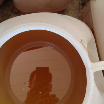 自产自销蜂蜜（桶装）