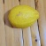 柠檬