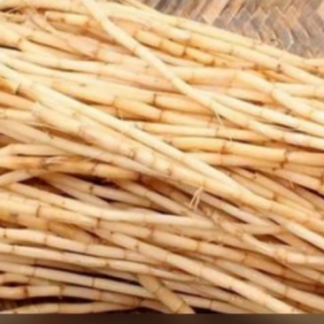 白茅根干品