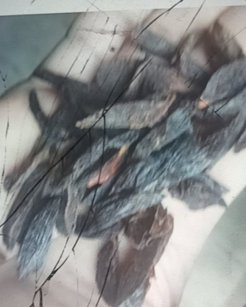 烘干的槟榔芯和槟榔皮