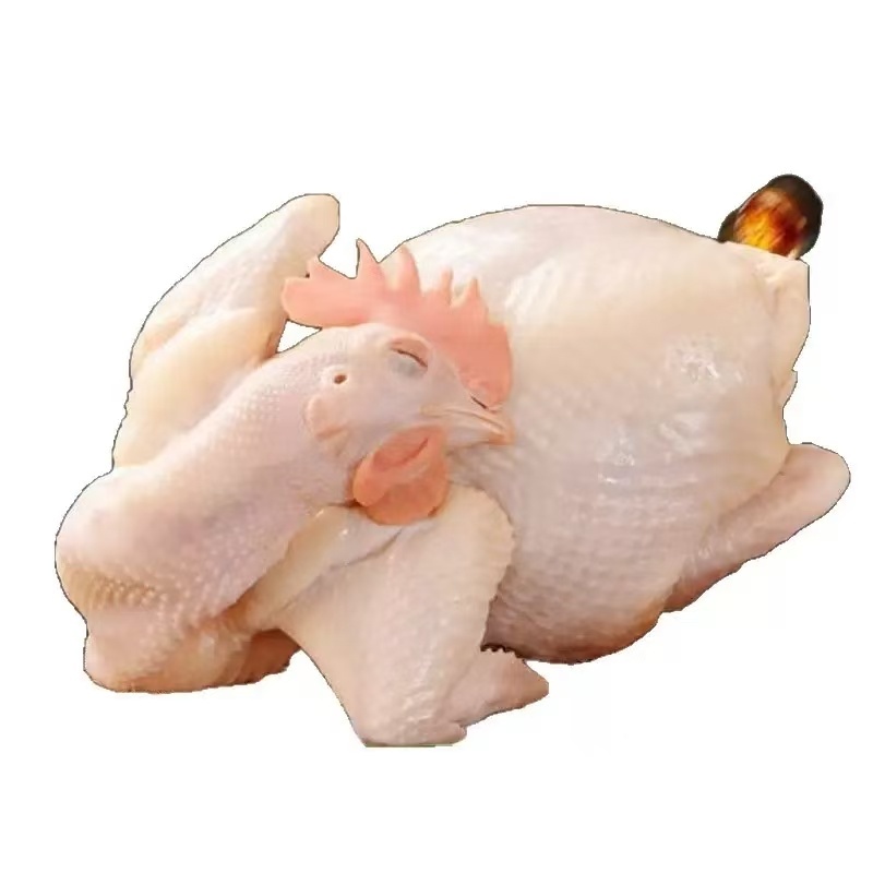 生鲜家禽