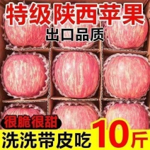 山东红富士苹果