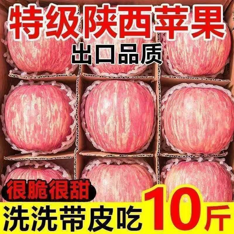 山东红富士苹果