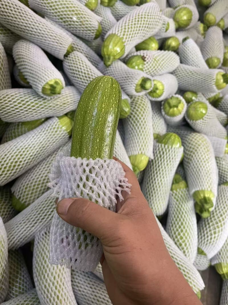 西葫芦