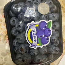 蓝莓