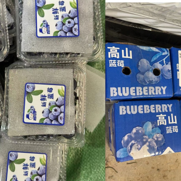 云南蓝莓电商果一件代发单盒125克单盒100克