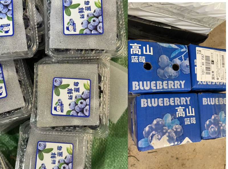 云南蓝莓电商果一件代发单盒125克单盒100克