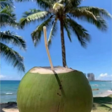 海南文昌椰青原产地直发，支持批发，一件代发