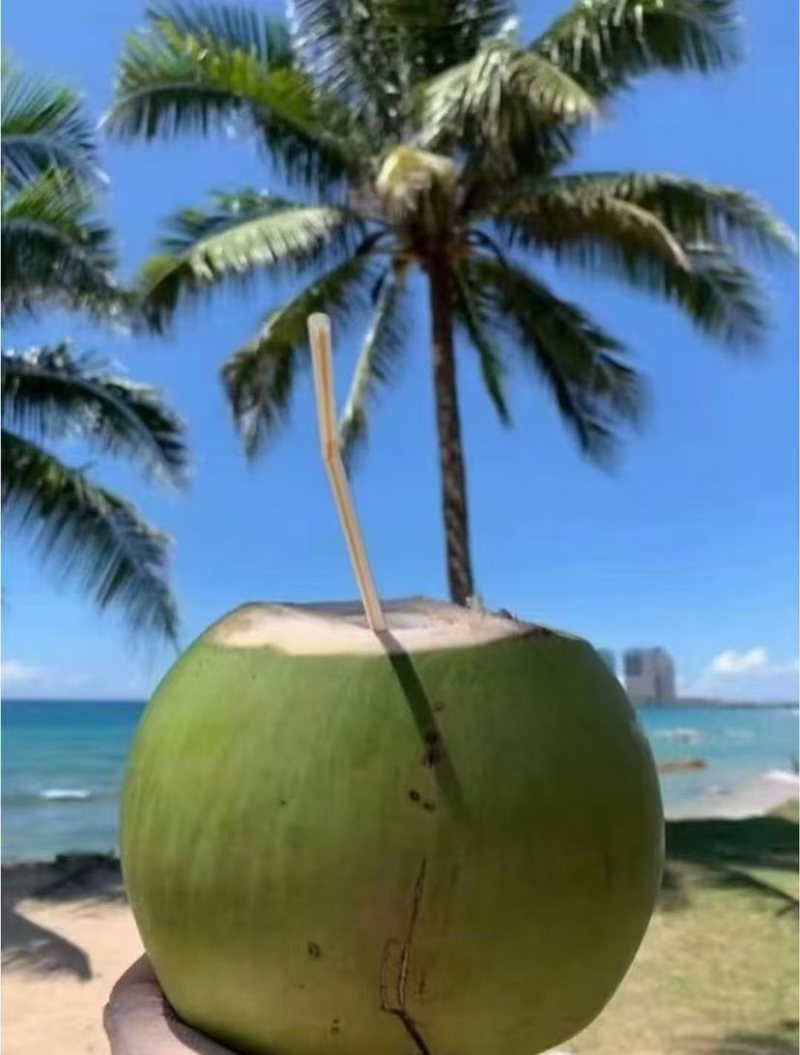 海南文昌椰青原产地直发，支持批发，一件代发