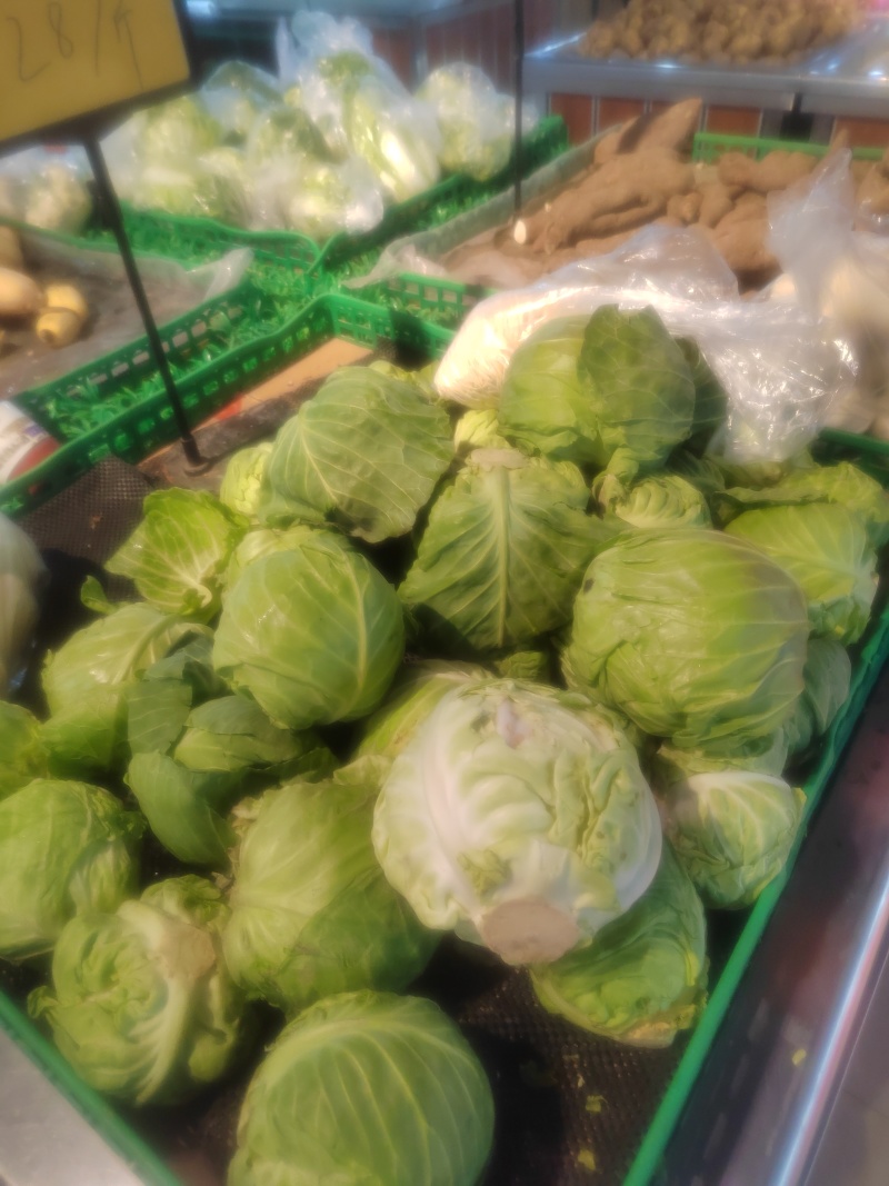甘兰十五号包菜十吨