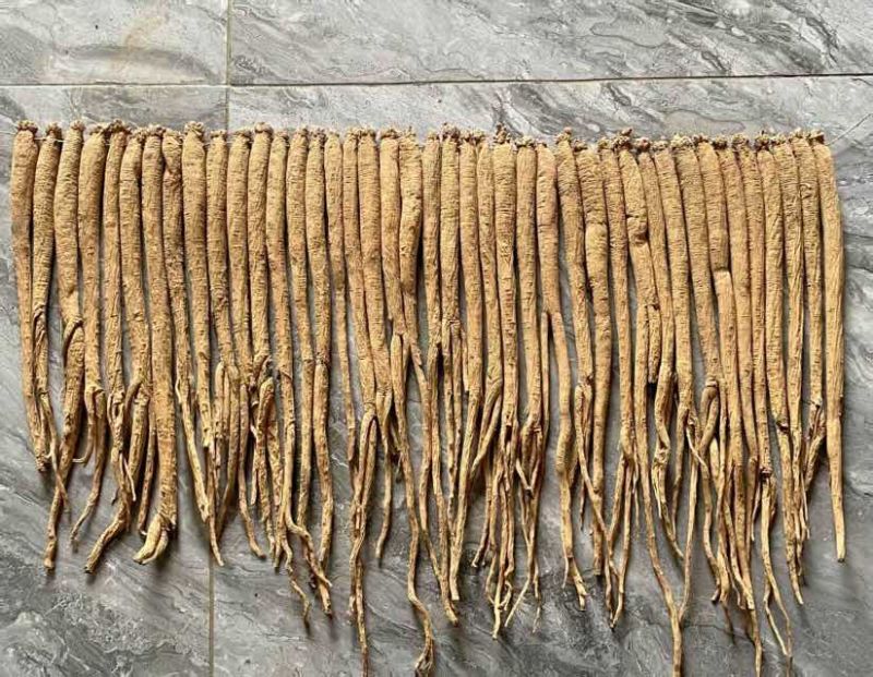 各种规格各种条子都有鲜货快结束了需要的老板抓紧时间了哦