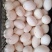 山东鲜鹅蛋