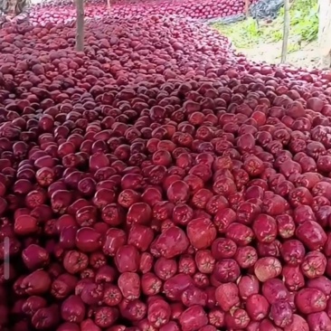 天水花牛