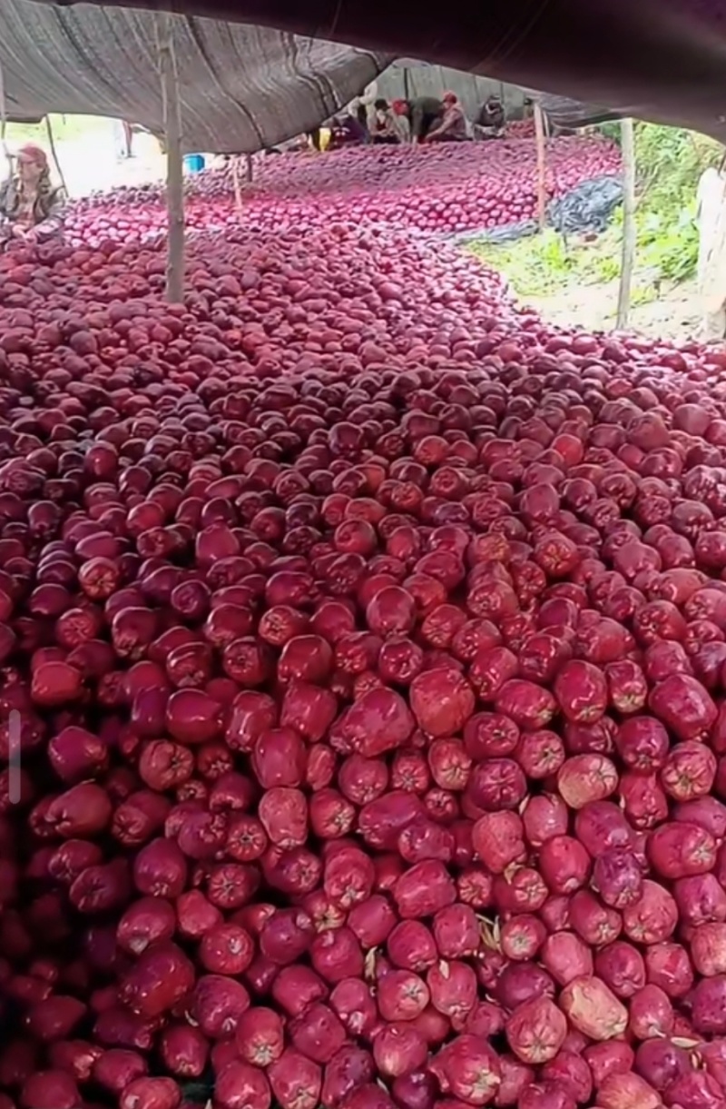 天水花牛