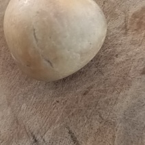 狗宝石，