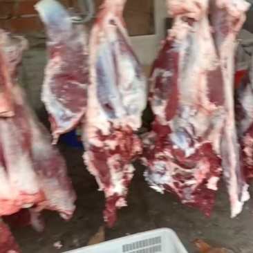 湖北襄阳鲜牛肉