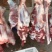 湖北襄阳鲜牛肉