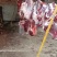 湖北襄阳鲜牛肉