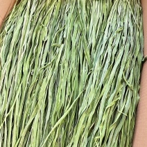 一二三级贡菜