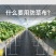 新型防草布