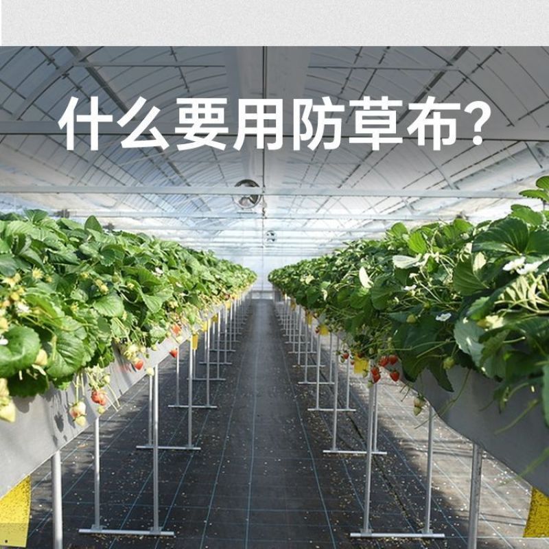 新型防草布