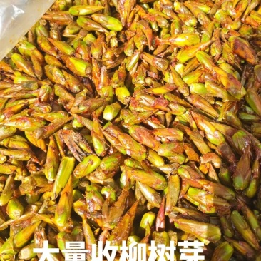 大量有货需要的老板联系
