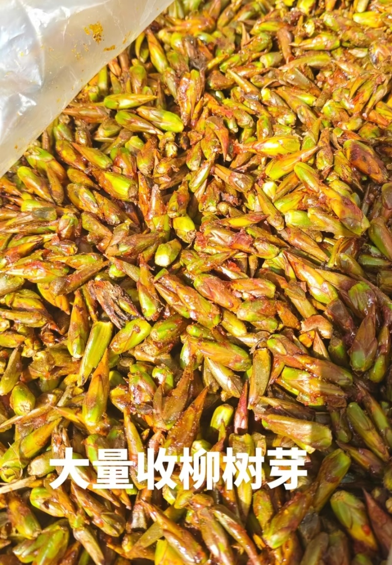 大量有货需要的老板联系