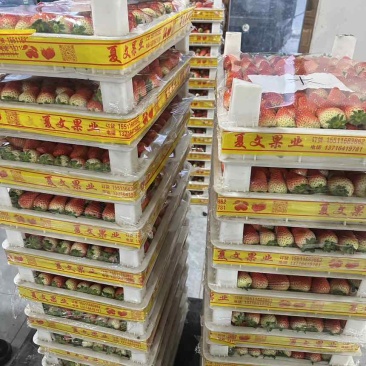 天仙醉奶油草莓