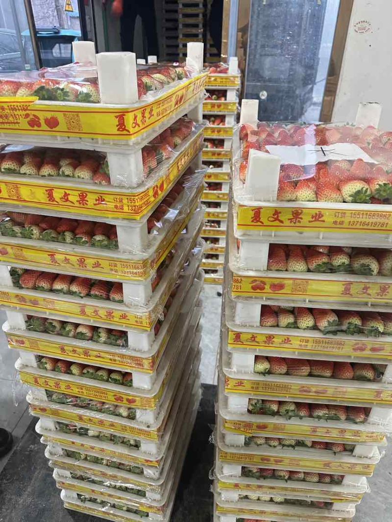 天仙醉奶油草莓