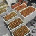 天仙醉奶油草莓