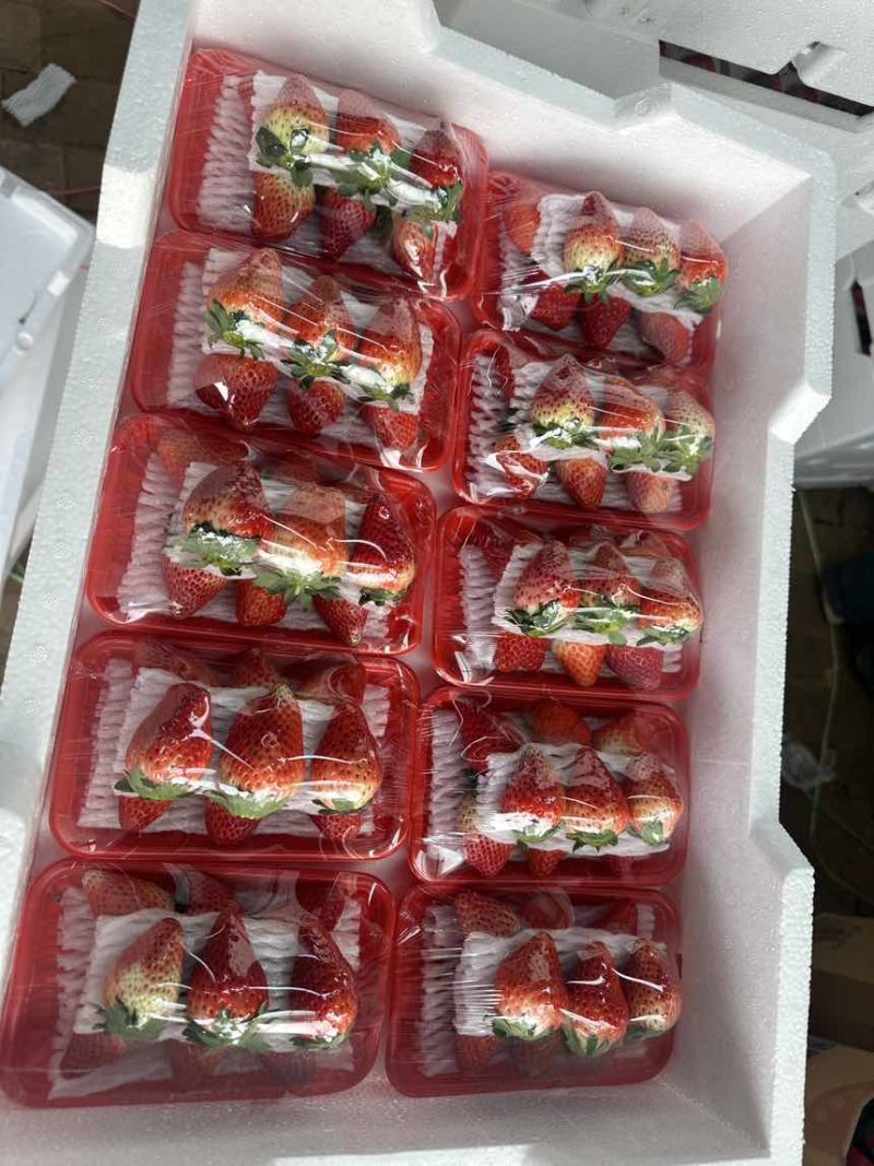 天仙醉奶油草莓