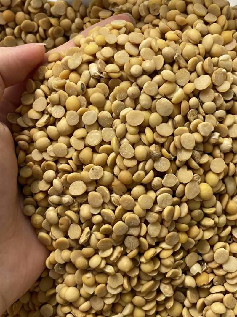 高蛋白低水分，上地施肥养殖均可使用