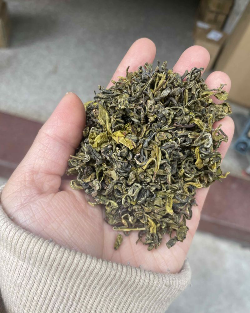 黄金芽