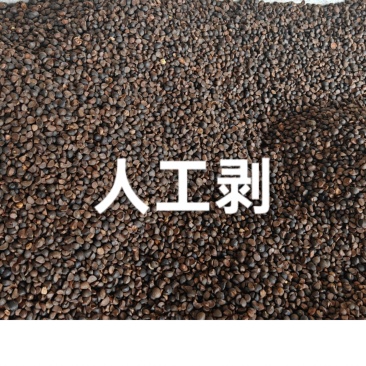 干茶仔