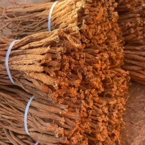 干货鲜货各种规格都有需要的可以联系啦