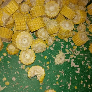 玉米棒边角料