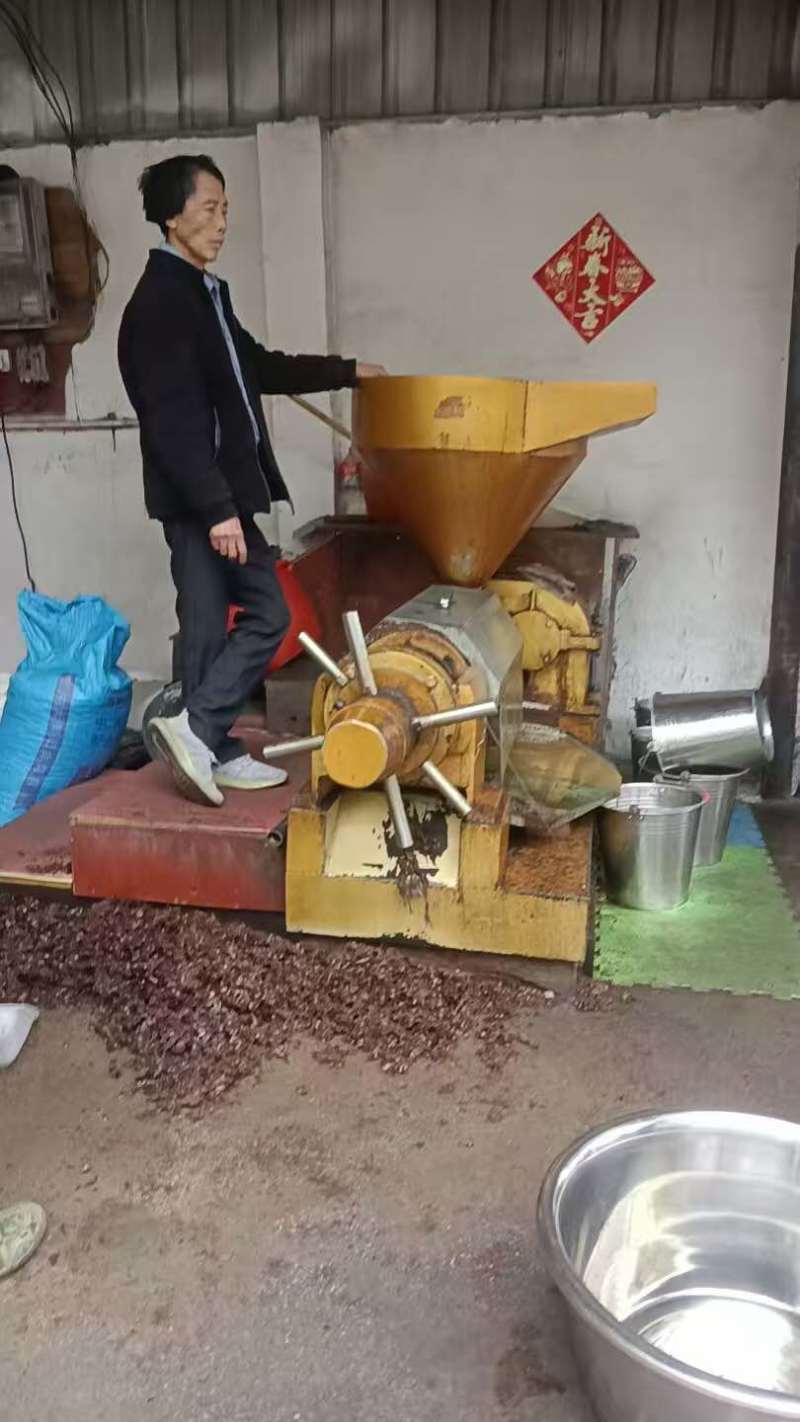 山茶油山茶籽油农家自产品质保证量大从优