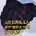 黑龙江农家自种黑玉米粒