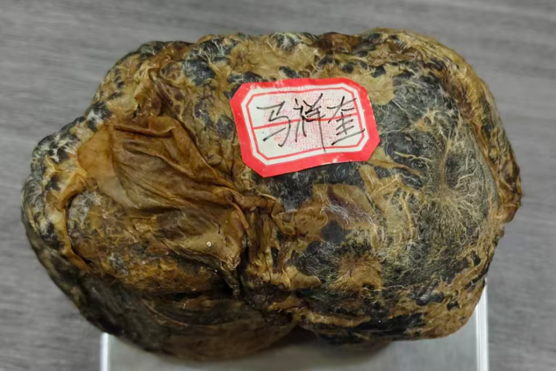 鸡宝重量为283.2g