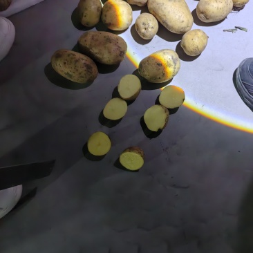 土豆3两起沃土