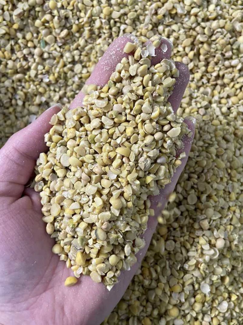 精品碎黄豆过风过筛