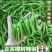 樟树小辣椒