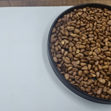 松子花货新壳有3500斤