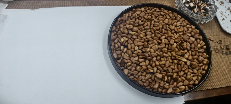 松子花货新壳有3500斤
