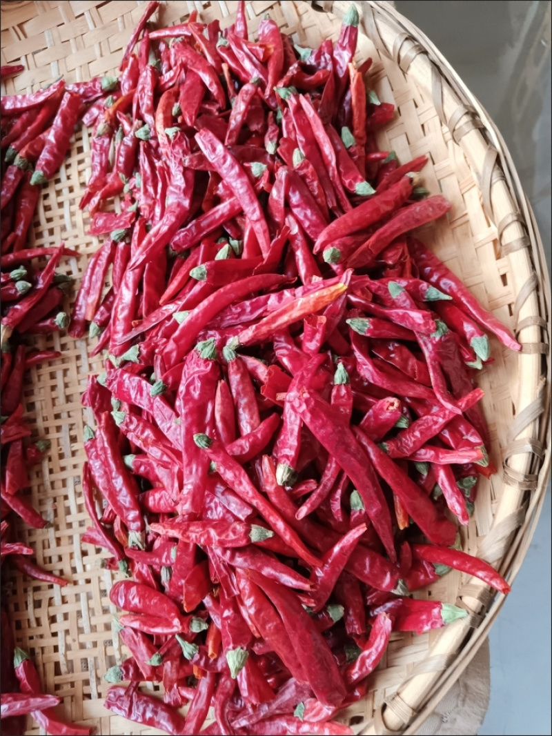 艳椒辣椒干辣椒香辣家用炒菜烹饪卤制火锅调味料批发商用