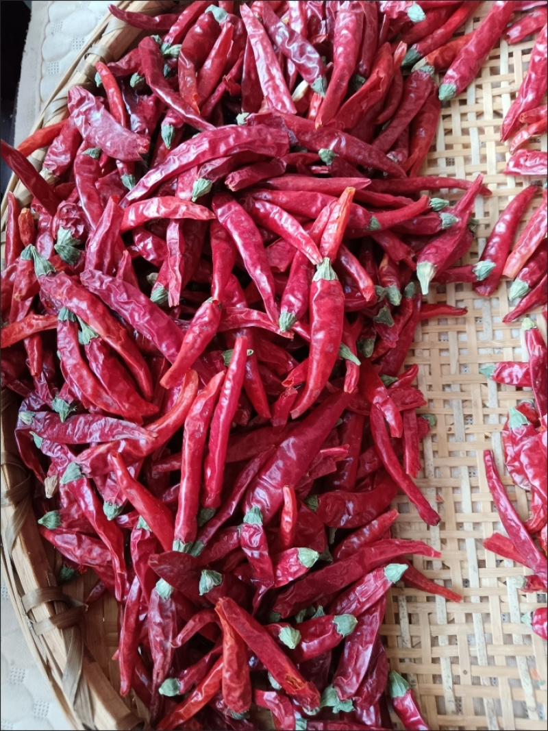艳椒辣椒干辣椒香辣家用炒菜烹饪卤制火锅调味料批发商用